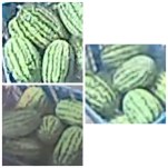 糞禿手下もやばいぐらい頭湧いてるなぁ  玄関に大量のスイカ放置